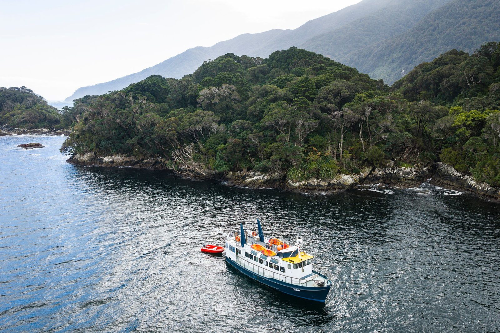 Aerial view of MV Tutoko searching for tawaki around the Shelter Islands, Doubtful Sound