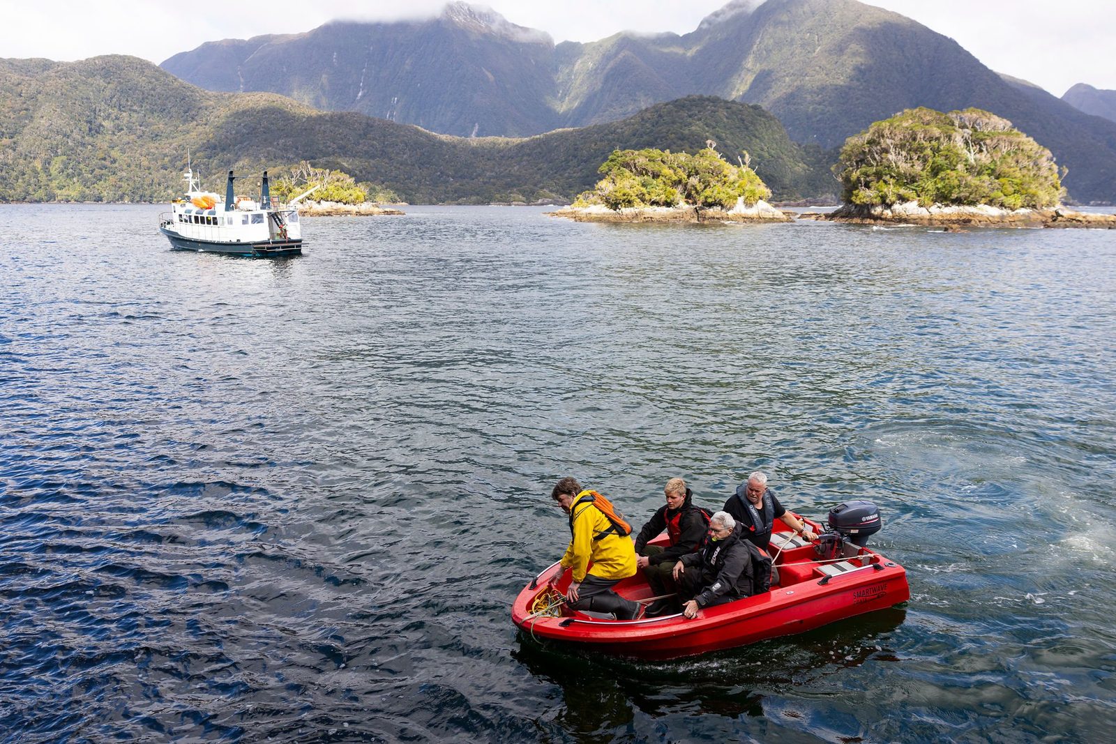 Tawaki Project team in a Zodiac approaching a rocky shoreline in Doubtful Sound
